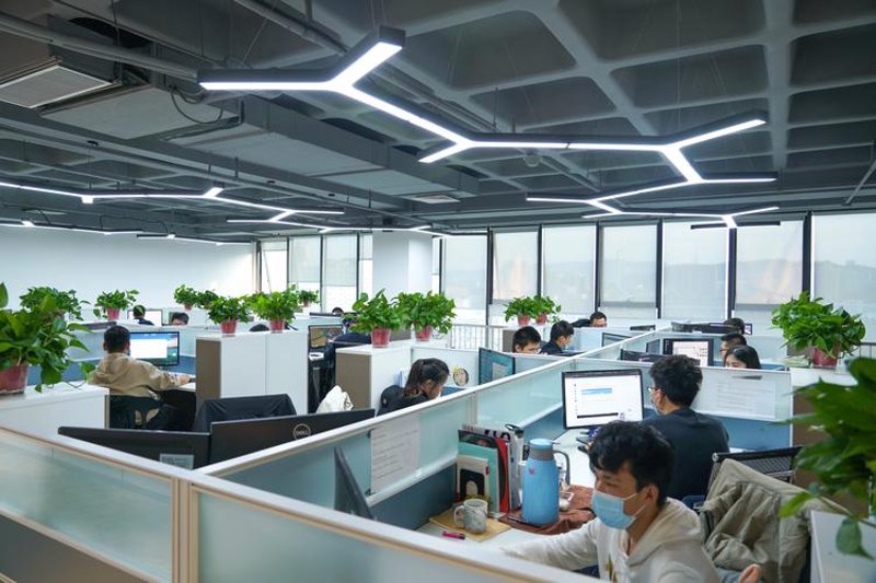 软件定制开发：企业成长的加速器